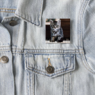 Niedliche Kleintiere Kitten on Piano Keys Button