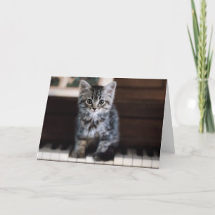 Niedliche Kleintiere   Kitten on Piano Keys Karte
