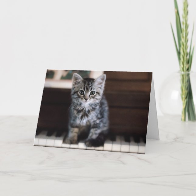 Niedliche Kleintiere | Kitten on Piano Keys Karte (Vorderseite)