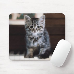 Niedliche Kleintiere   Kitten on Piano Keys Mousepad
