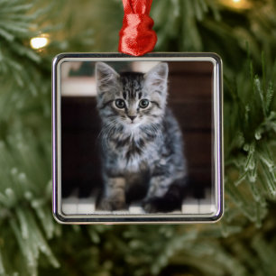 Niedliche Kleintiere Kitten on Piano Keys Ornament Aus Metall