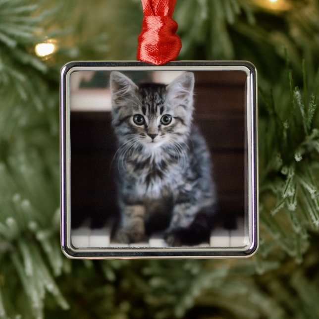 Niedliche Kleintiere | Kitten on Piano Keys Ornament Aus Metall (Baum)