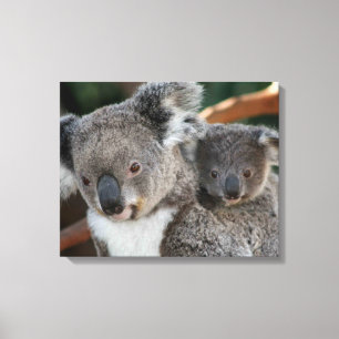 Niedliche Kleintiere   Koala und Joey Leinwanddruck