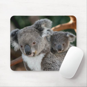 Niedliche Kleintiere   Koala und Joey Mousepad