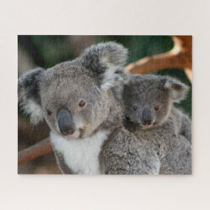Niedliche Kleintiere Koala und Joey Puzzle