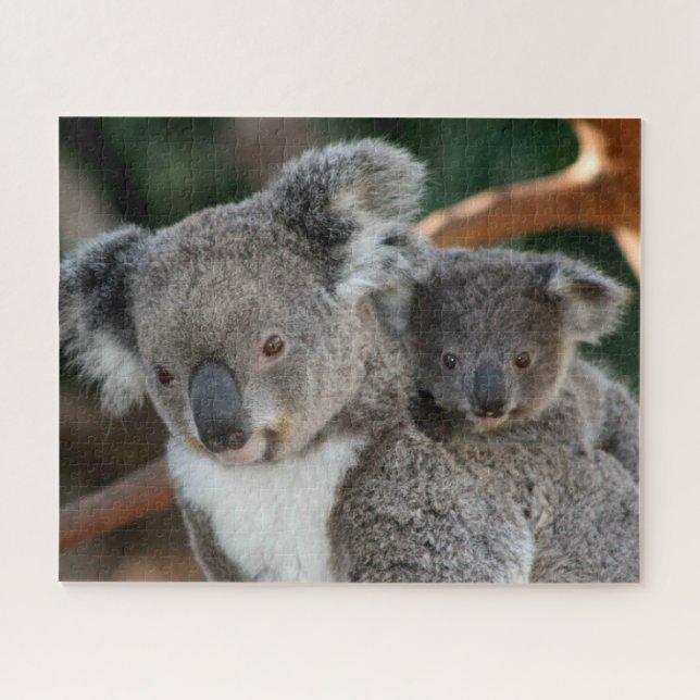 Niedliche Kleintiere | Koala und Joey Puzzle (Horizontal)