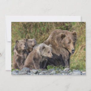 Niedliche Kleintiere   Kodiak Mama Bear & Cubs Dankeskarte