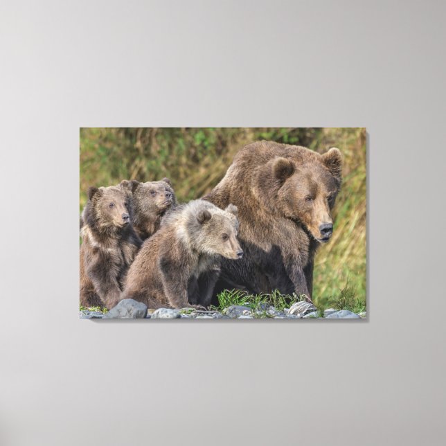 Niedliche Kleintiere | Kodiak Mama Bear & Cubs Leinwanddruck (Vorderseite)