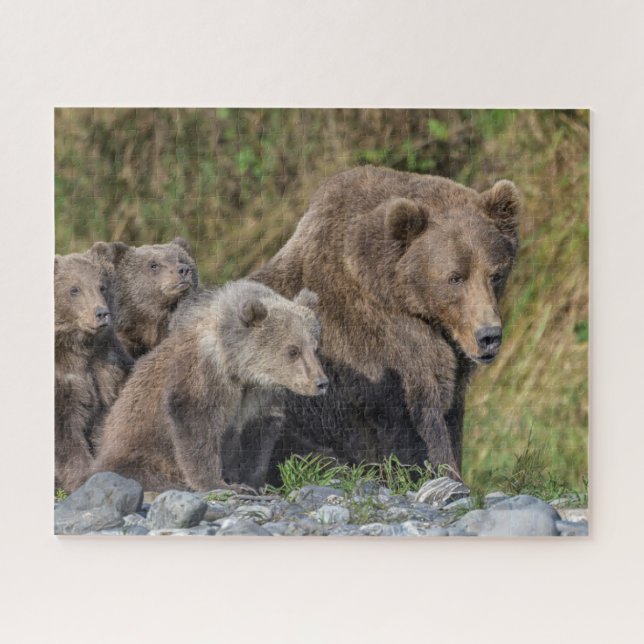Niedliche Kleintiere | Kodiak Mama Bear & Cubs Puzzle (Horizontal)
