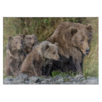 Niedliche Kleintiere | Kodiak Mama Bear & Cubs
