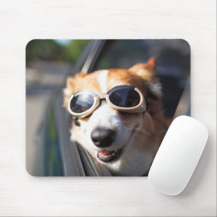 Niedliche Kleintiere   Korgi-Brille im Auto Mousepad