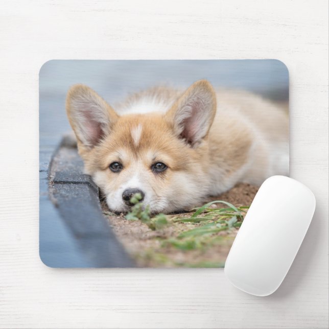 Niedliche Kleintiere | Korgi Lay in der Werft Mousepad (Mit Mouse)