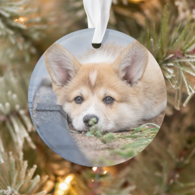 Niedliche Kleintiere | Korgi Lay in der Werft Ornament (Baum)