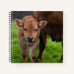 Niedliche Kleintiere Kuh und Kalb Notizbuch