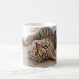 Niedliche Kleintiere   Kurzhaar Tabby Kitten Kaffeetasse