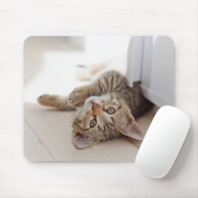 Niedliche Kleintiere | Kurzhaar Tabby Kitten Mousepad (Mit Mouse)
