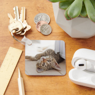 Niedliche Kleintiere Kurzhaar Tabby Kitten Schlüsselanhänger