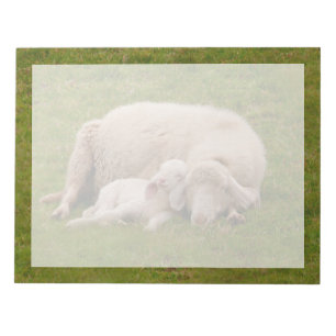 Niedliche Kleintiere   Lächelndes Schlachthaus Notizblock