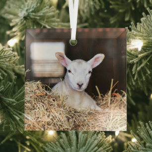 Niedliche Kleintiere Lamm Ornament Aus Glas