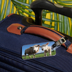 Niedliche Kleintiere   Lamm und Mama Gepäckanhänger