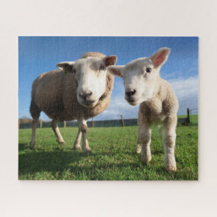 Niedliche Kleintiere Lamm und Mama Puzzle