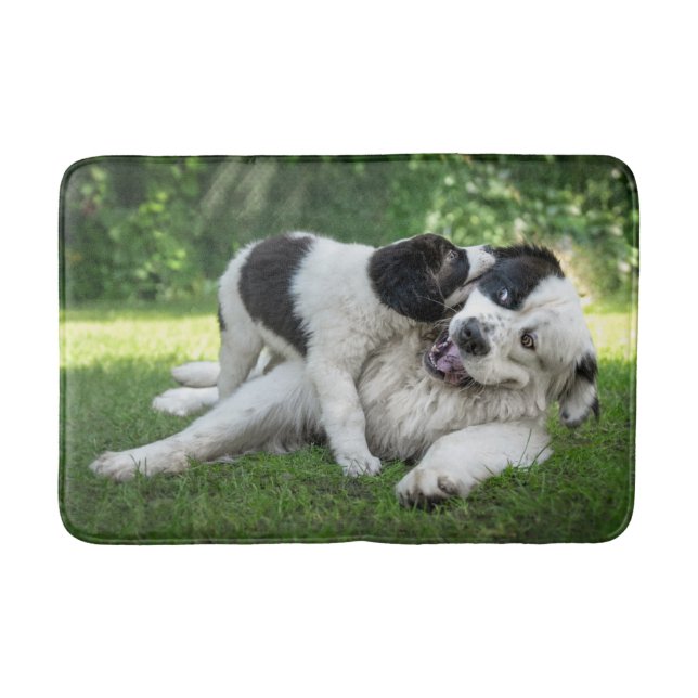 Niedliche Kleintiere | Landseer Puppy Badematte (Vorderseite)