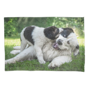 Niedliche Kleintiere   Landseer Puppy Kissenbezug