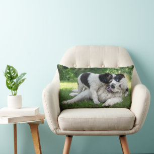 Niedliche Kleintiere   Landseer Puppy Lendenkissen