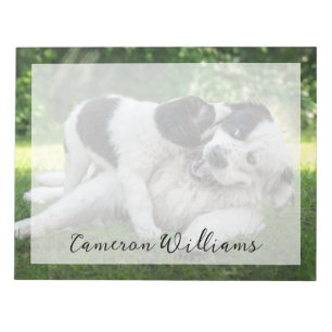 Niedliche Kleintiere   Landseer Puppy Notizblock