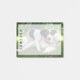 Niedliche Kleintiere   Landseer Puppy Post-it Klebezettel