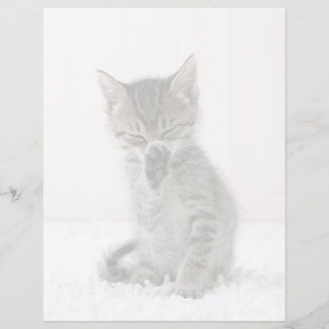 Niedliche Kleintiere | Licking Tabby Kitten (Vorderseite)