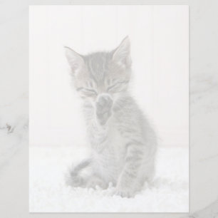 Niedliche Kleintiere Licking Tabby Kitten