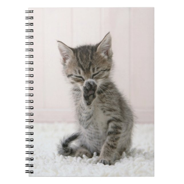 Niedliche Kleintiere | Licking Tabby Kitten Notizblock (Vorderseite)