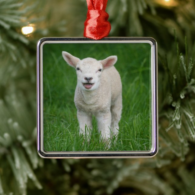 Niedliche Kleintiere | Lil Lamb Ornament Aus Metall (Baum)