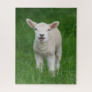 Niedliche Kleintiere   Lil Lamb Puzzle
