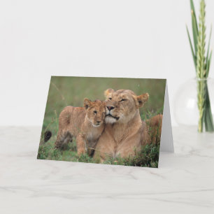 Niedliche Kleintiere   Lion Cub & Mother Karte