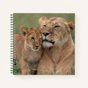 Niedliche Kleintiere   Lion Cub & Mother Notizbuch
