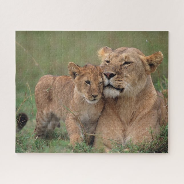 Niedliche Kleintiere | Lion Cub & Mother Puzzle (Horizontal)