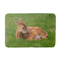 Niedliche Kleintiere | Little Fawn