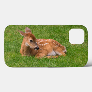 Niedliche Kleintiere Little Fawn Case-Mate iPhone Hülle