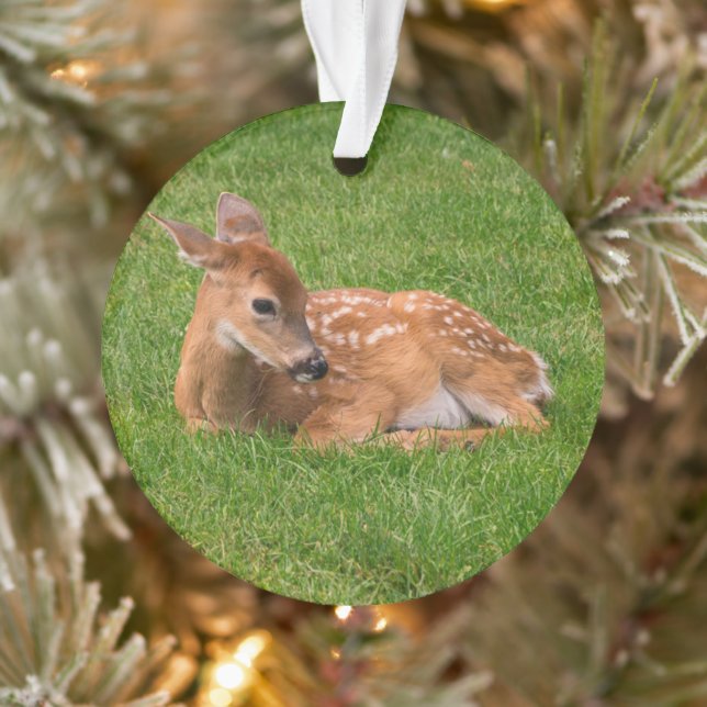Niedliche Kleintiere | Little Fawn Ornament (Baum)