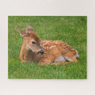 Niedliche Kleintiere   Little Fawn Puzzle