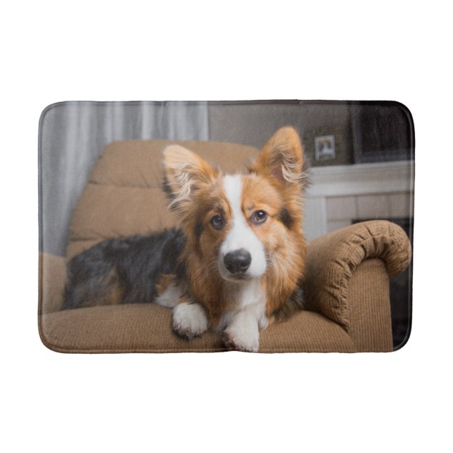 Niedliche Kleintiere | Long Hair Corgi Puppy Badematte (Vorderseite)