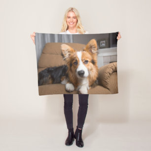 Niedliche Kleintiere   Long Hair Corgi Puppy Fleecedecke