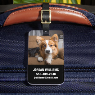 Niedliche Kleintiere   Long Hair Corgi Puppy Gepäckanhänger