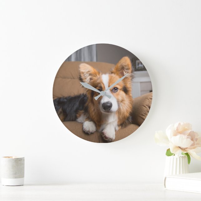 Niedliche Kleintiere | Long Hair Corgi Puppy Große Wanduhr (Zuhause)