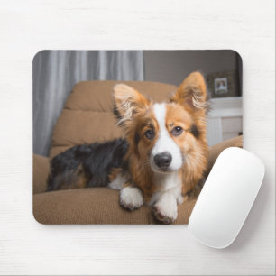 Niedliche Kleintiere Long Hair Corgi Puppy Mousepad