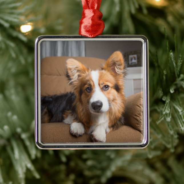 Niedliche Kleintiere | Long Hair Corgi Puppy Ornament Aus Metall (Baum)