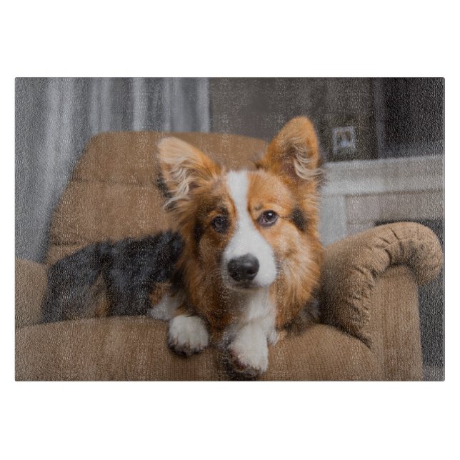 Niedliche Kleintiere | Long Hair Corgi Puppy Schneidebrett (Vorderseite)