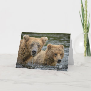 Niedliche Kleintiere   Mama Bear & Ihre Cubs Karte